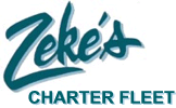 Visit our Website